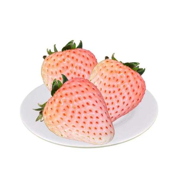 粉白草莓 900g