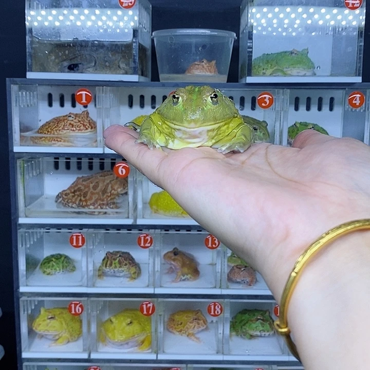 特价秒杀现货特价残