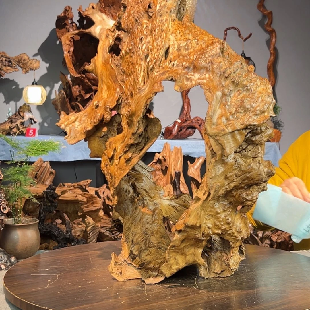 香杉木邱738aaaaaaaaa