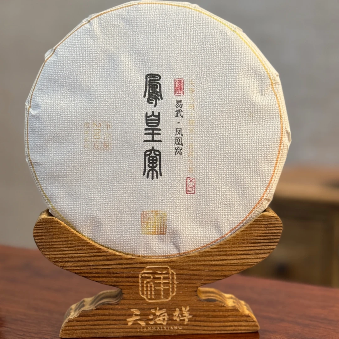 2024年凤凰窝森林古树 过河弯弓生普