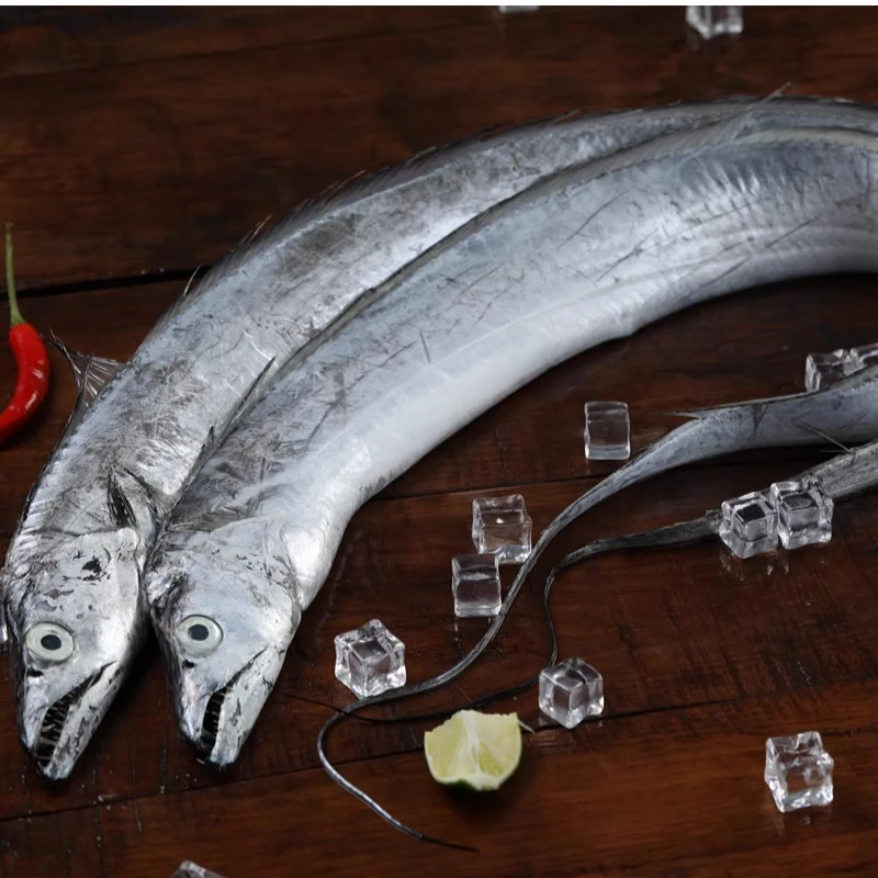 2025开渔季冰鲜舟山流网捕捞小眼油带鱼整条5-7两/条 5条