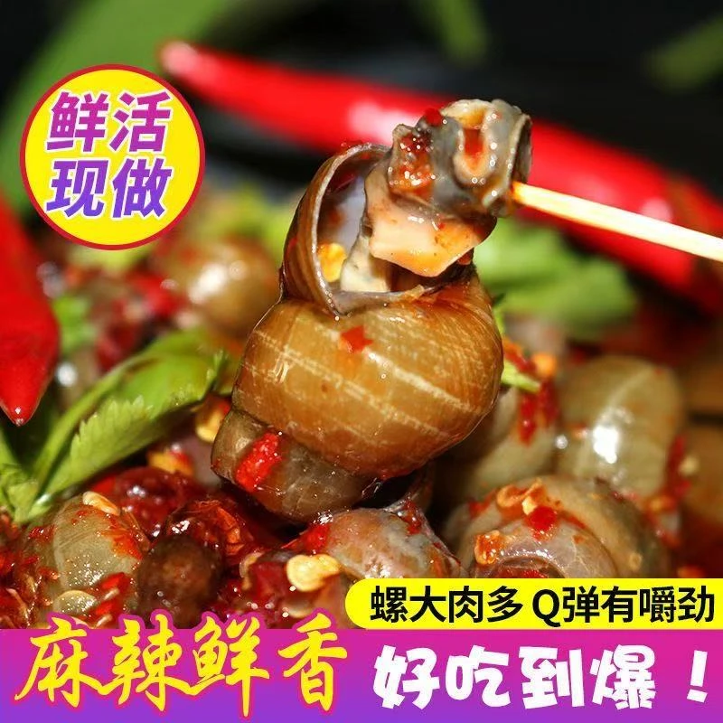 【净重250克/罐装】即食麻辣田螺酱香田螺下酒必备A