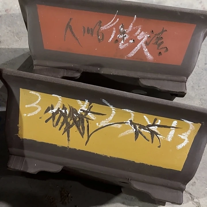 花盆紫砂100-5。 微瑕。