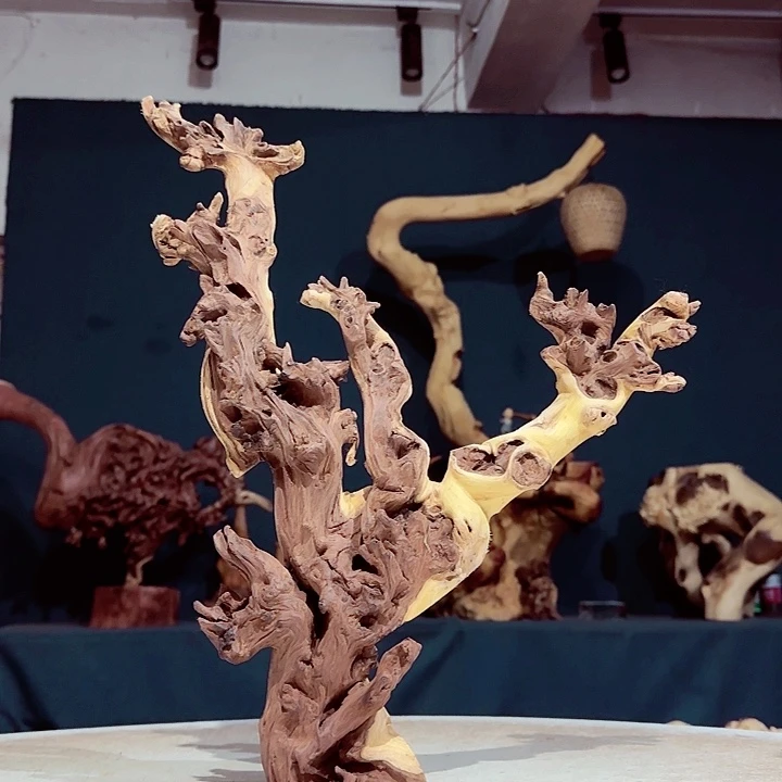 黑果木让****生931 金丝红木羊蹄甲半成品经典款特价