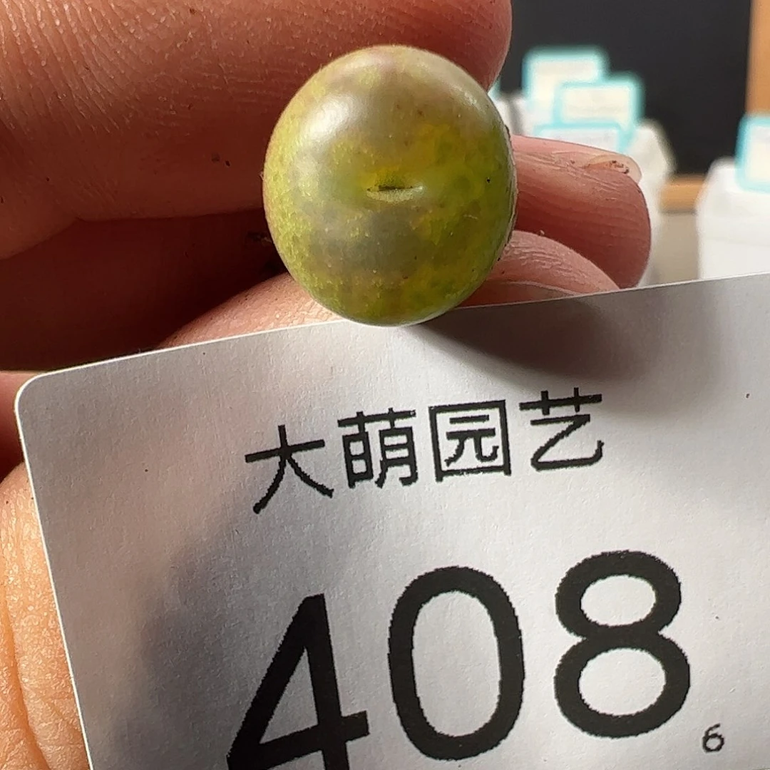 0000408 一物一拍……