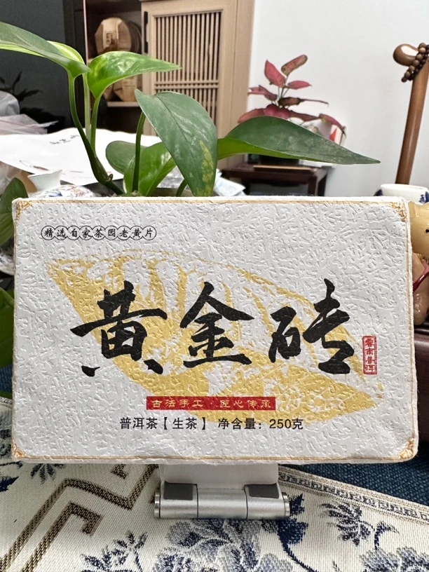 【黄金砖】性价比超高的2023年古树黄金叶