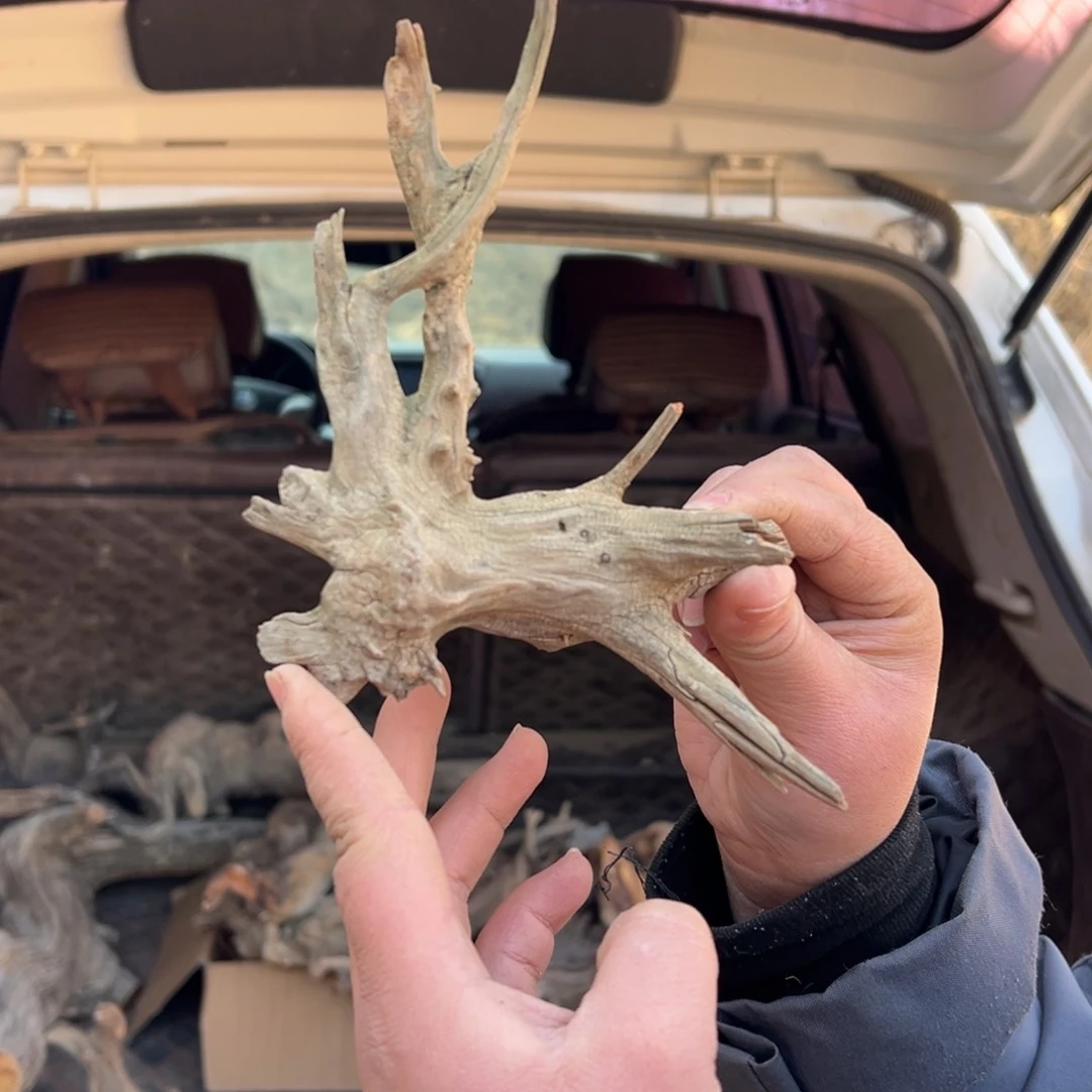 柏木（崖柏）佛**少