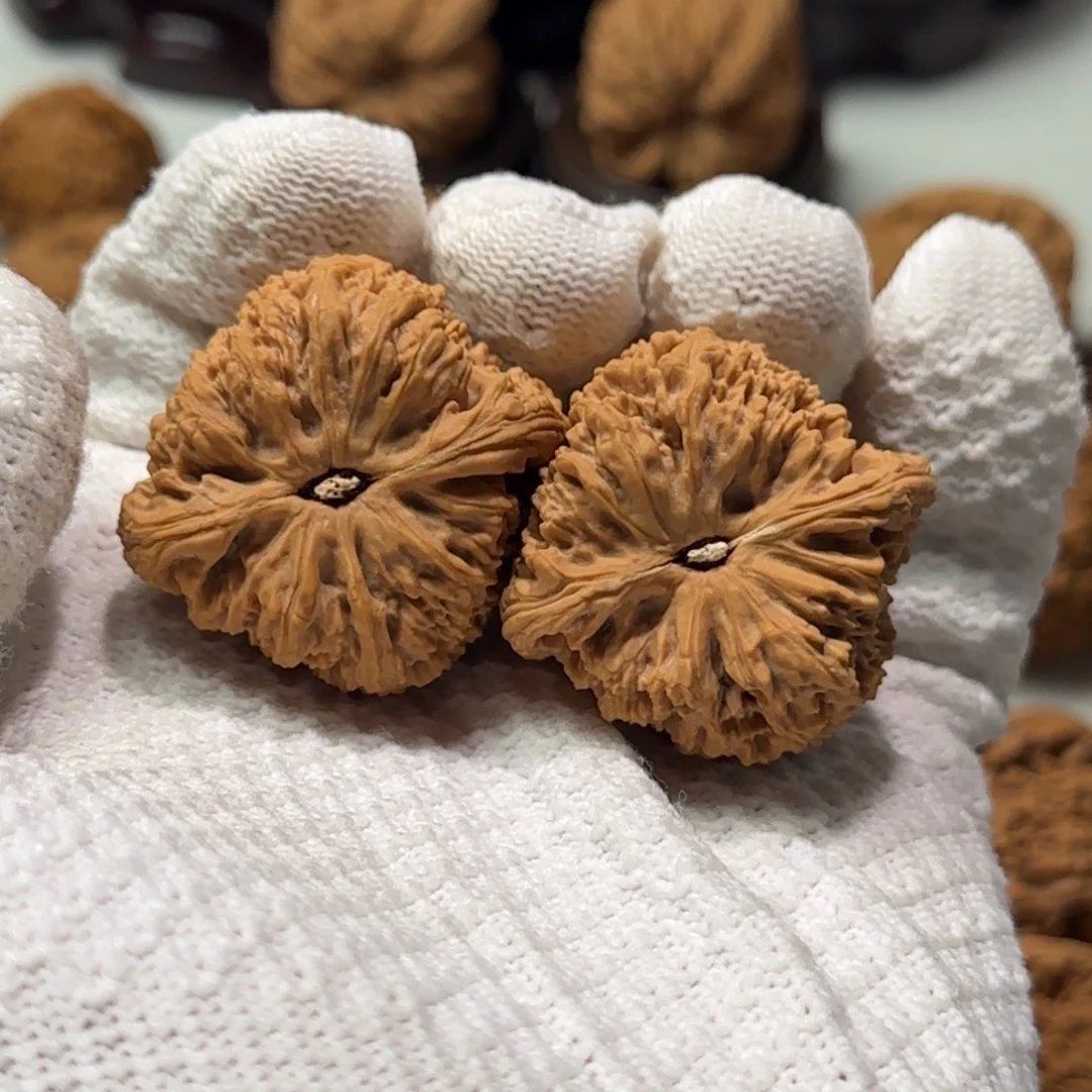 文玩核桃吊坠L*涿鹿蚂蚁纹残脚