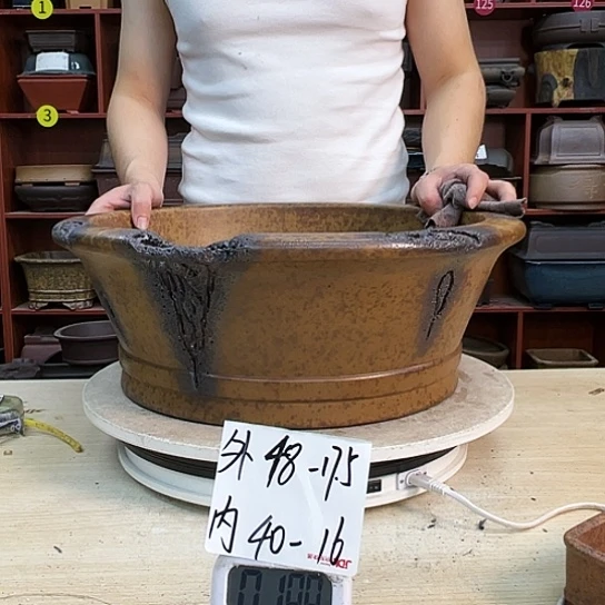 人**善紫砂花盆里放上香辣油