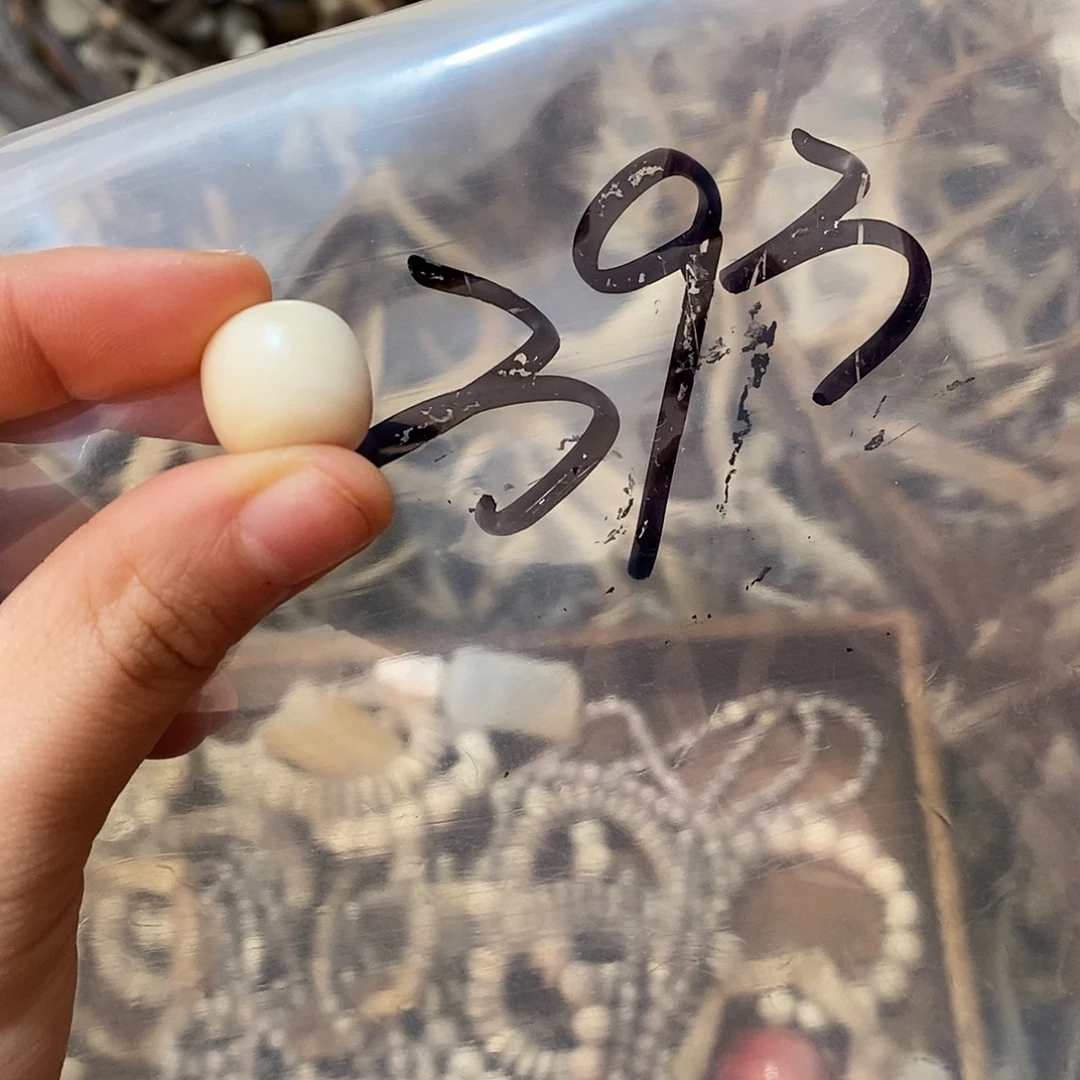 运***晓非金属鹿角鹿角鹿角