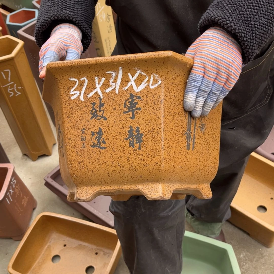 紫砂花盆盆景艺术