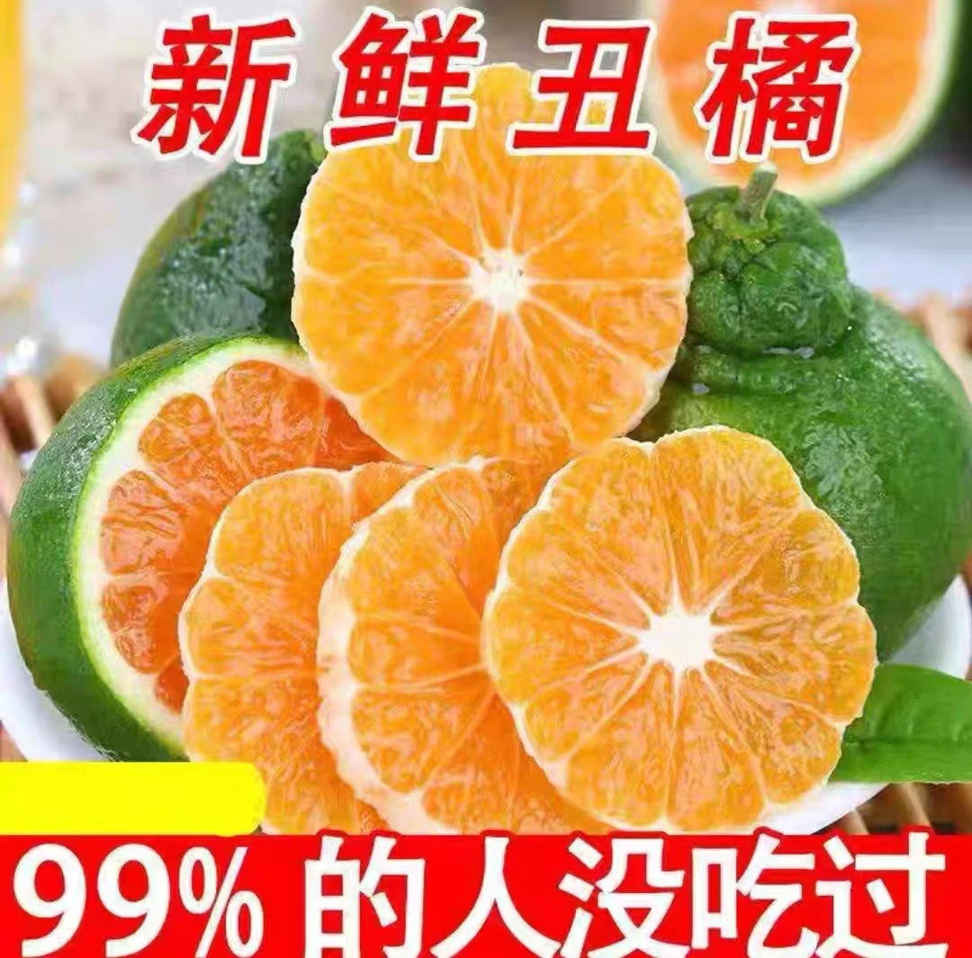 【八甜两酸】云南高山早熟丑八怪青皮大丑橘爆汁现采现发