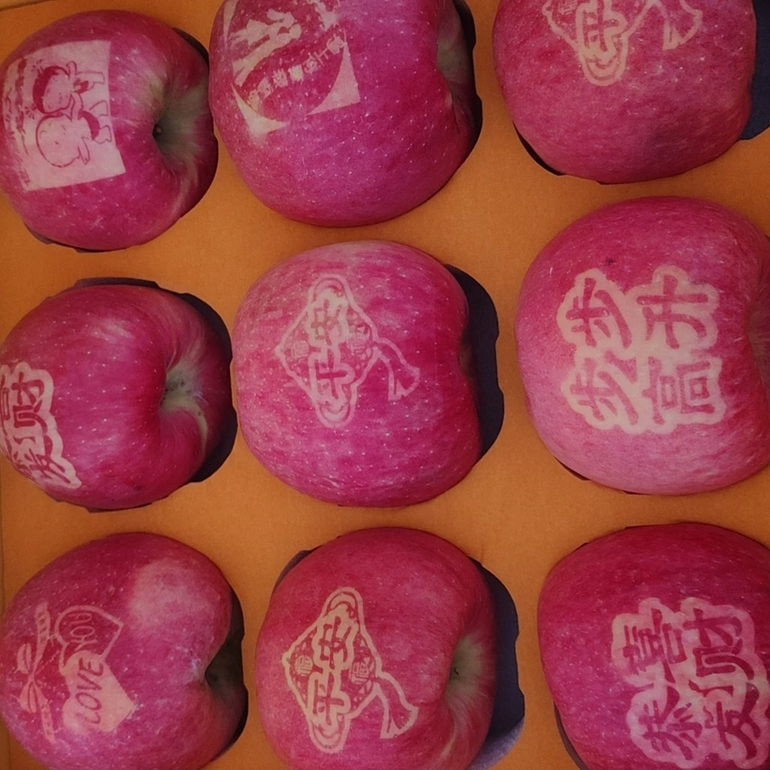 柳园农庄秦脆苹果脆甜多汁部分印字礼90大果盒装适合送礼现摘现发