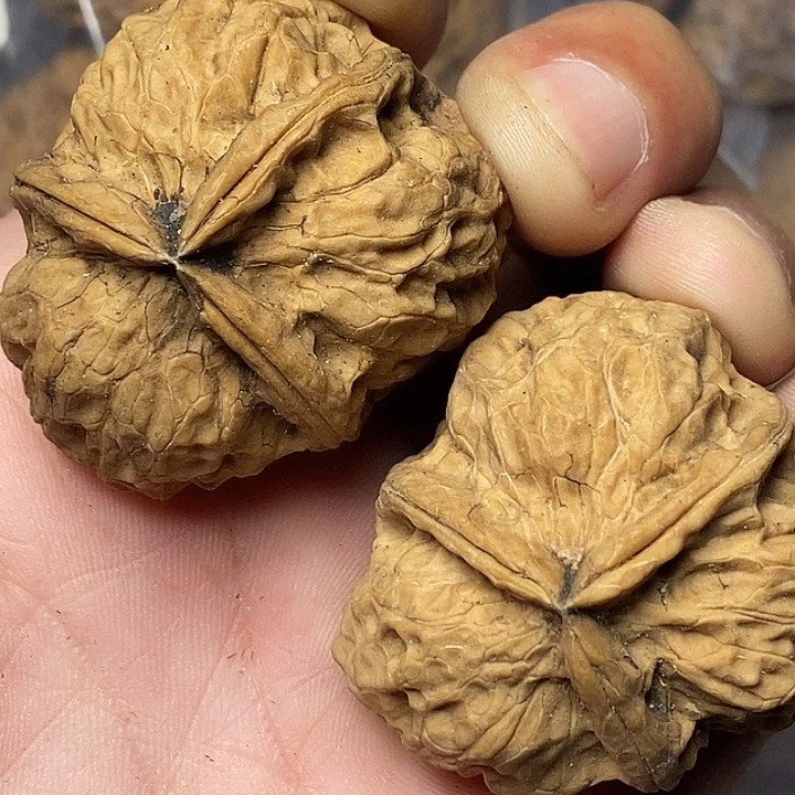 文玩核桃把件云南铁核桃70