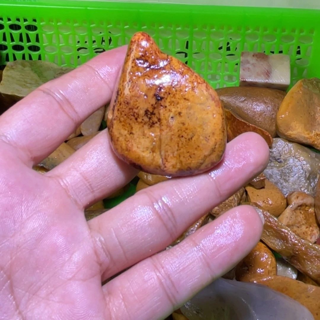 喵***主贝壳其他寿山石……