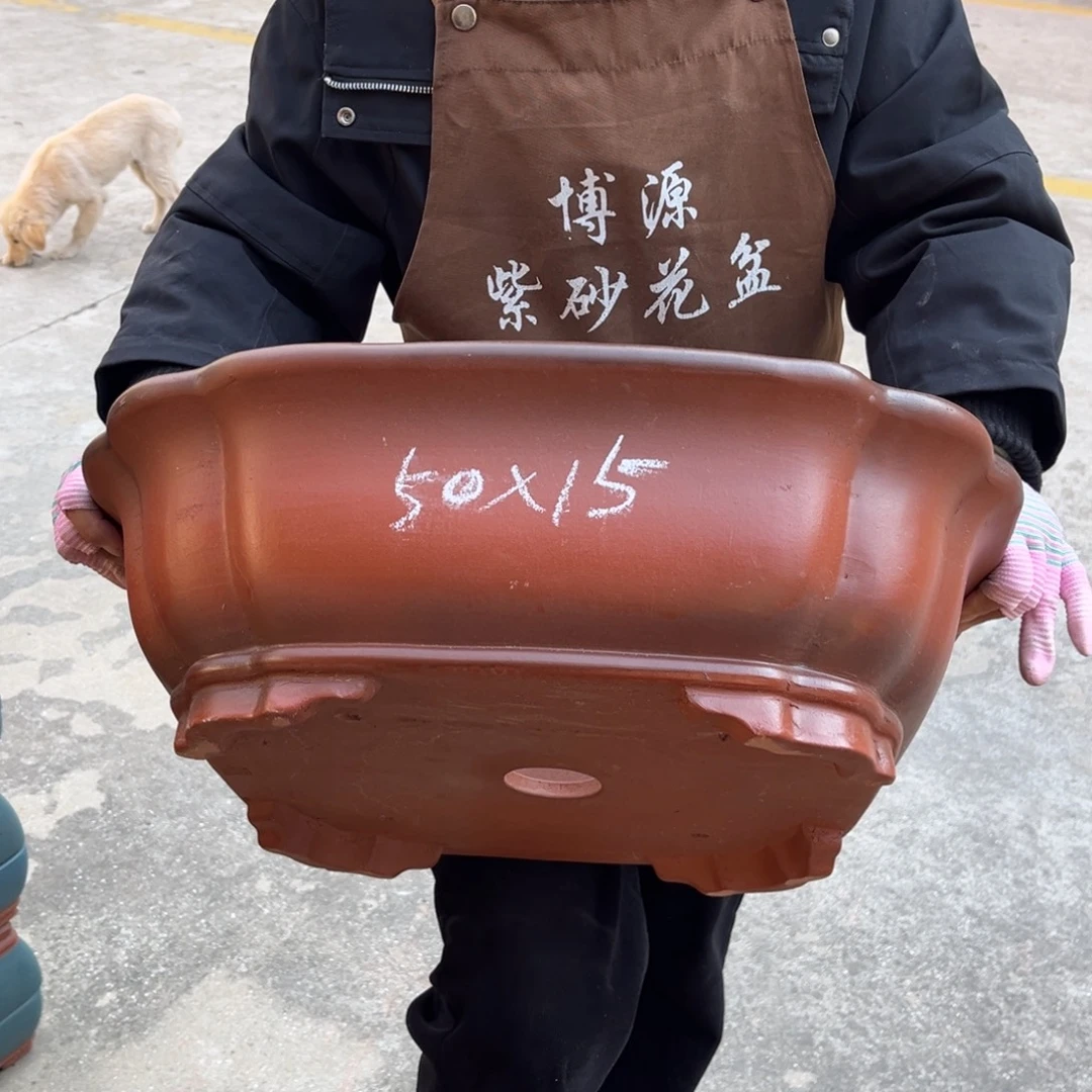 紫砂花盆盆景艺术