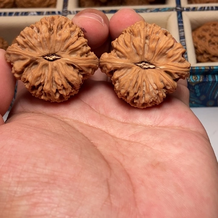 文玩核桃把件乱**天南疆石