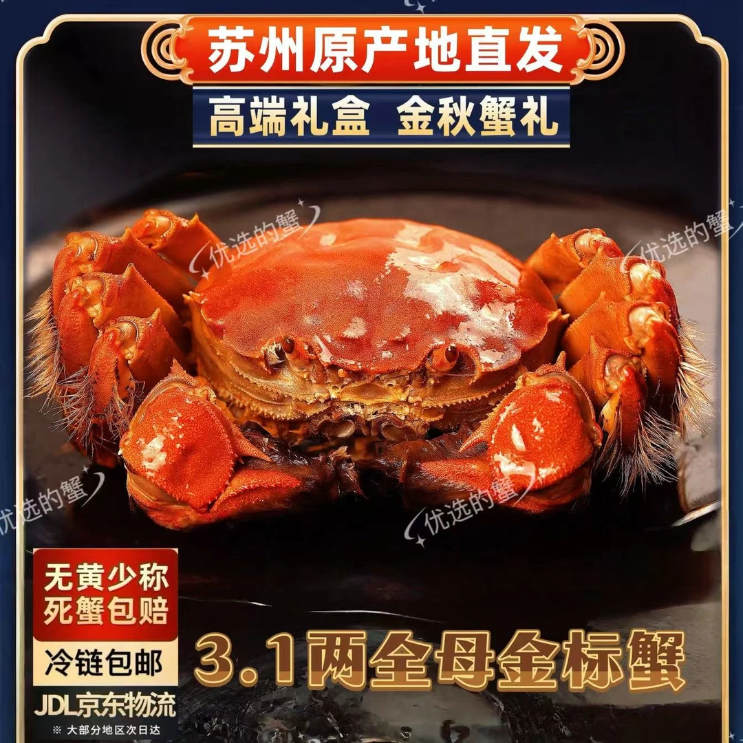 【苏州金标活蟹】全母蟹3.1~2.8两礼盒装冷链包邮8+2到手10只活蟹