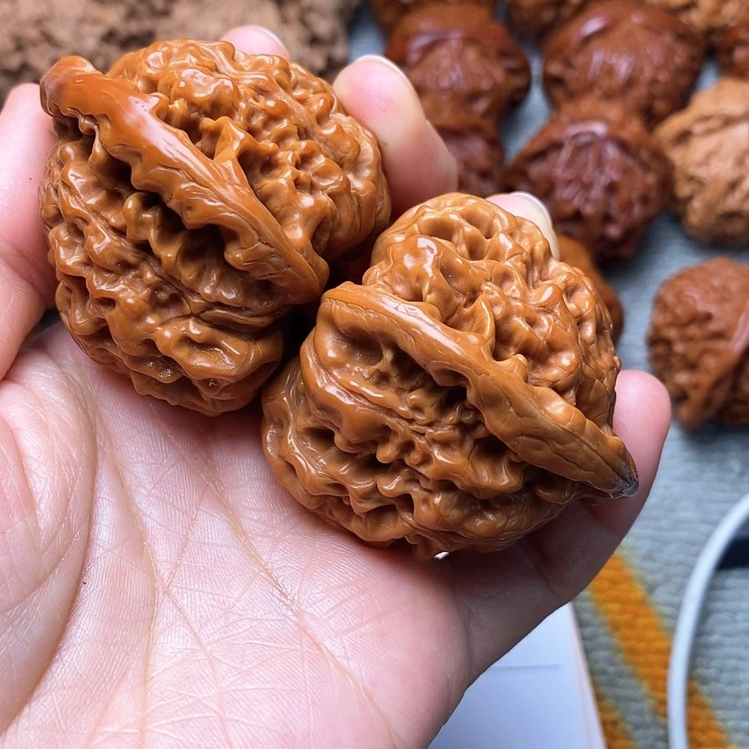 木质类别**恙