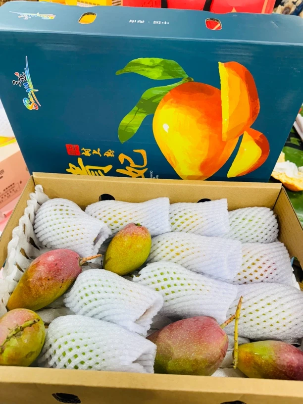 海南贵妃芒4斤净重