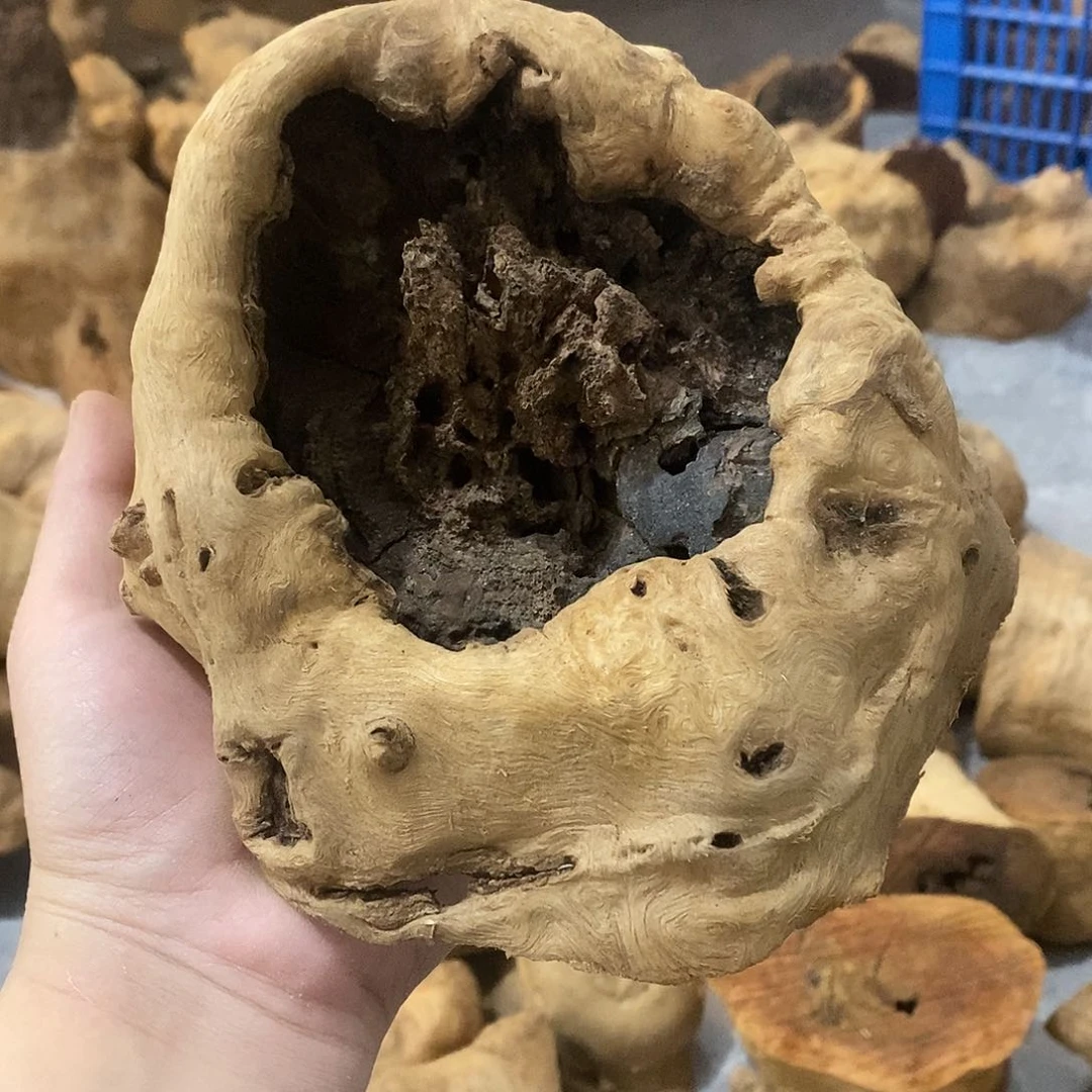 荔枝木嘟*噜荔枝木原料