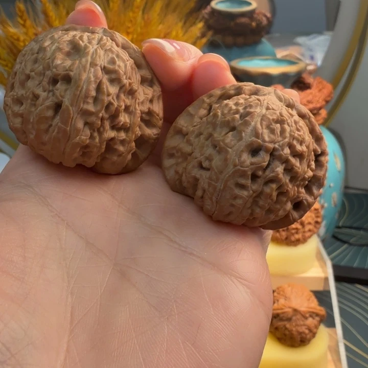 桃核把件白狮子 全品 43
