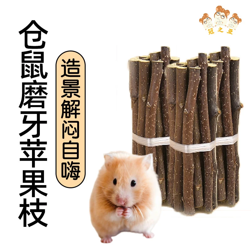 兔子磨牙神器苹果枝宠物侏儒兔玩具零食荷兰猪可食用木头啃咬磨牙