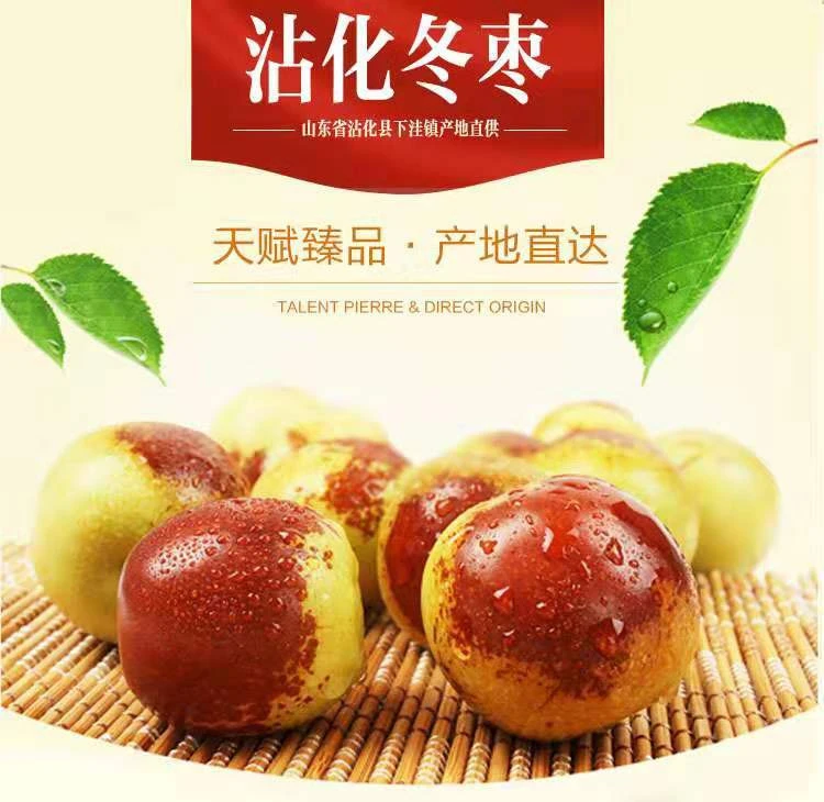 【沾化冬枣】山东特产 现摘现发 脆甜多汁 新鲜可口