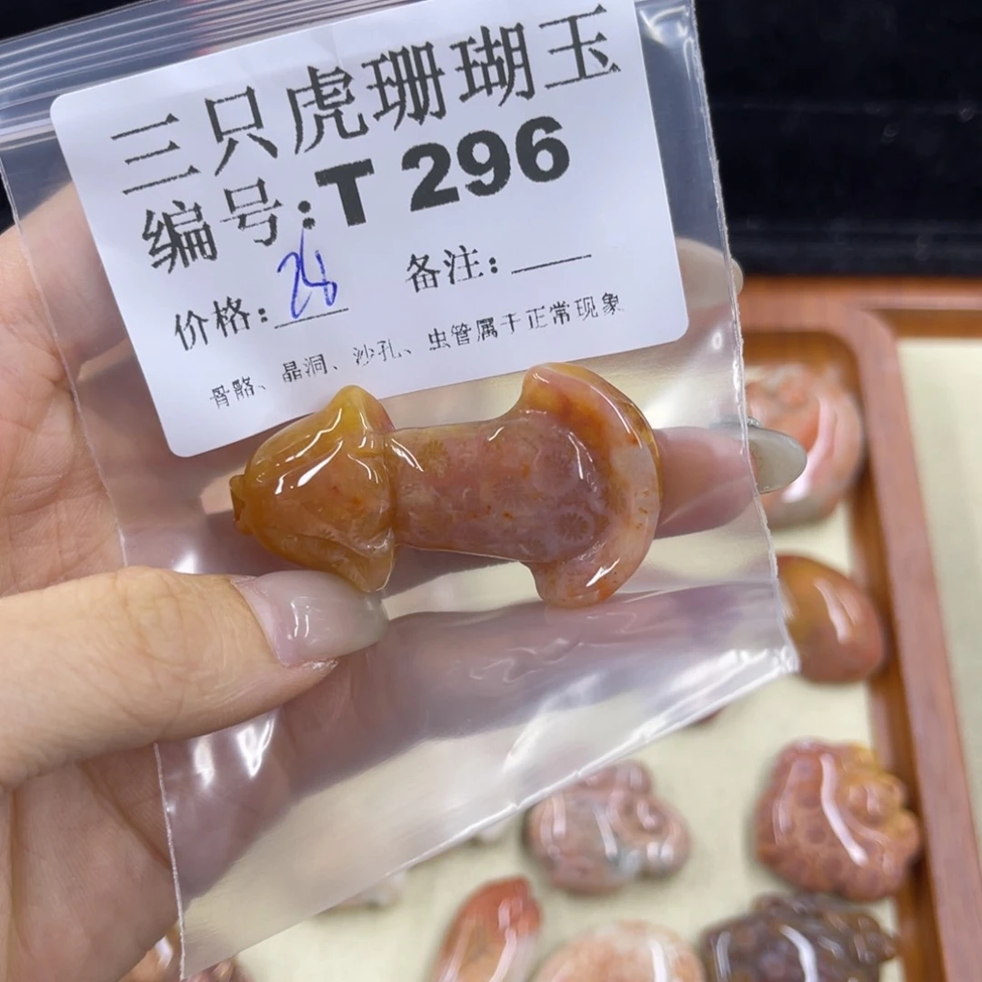 言***舞硅化珊瑚（珊瑚玉）h未镶嵌