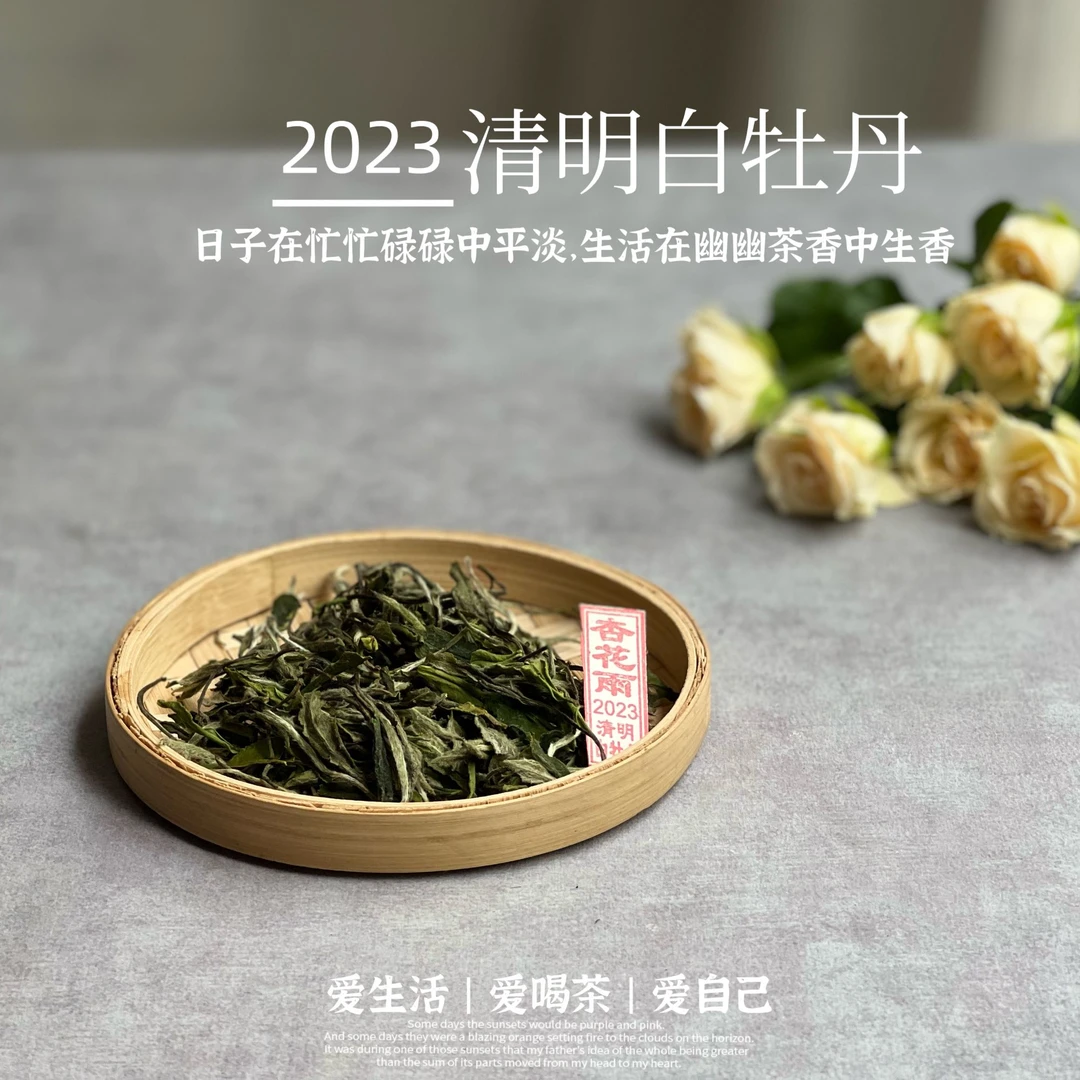 2023清明白牡丹，兰花香落水，汤水敦厚，一杯回到杏花春雨的江南