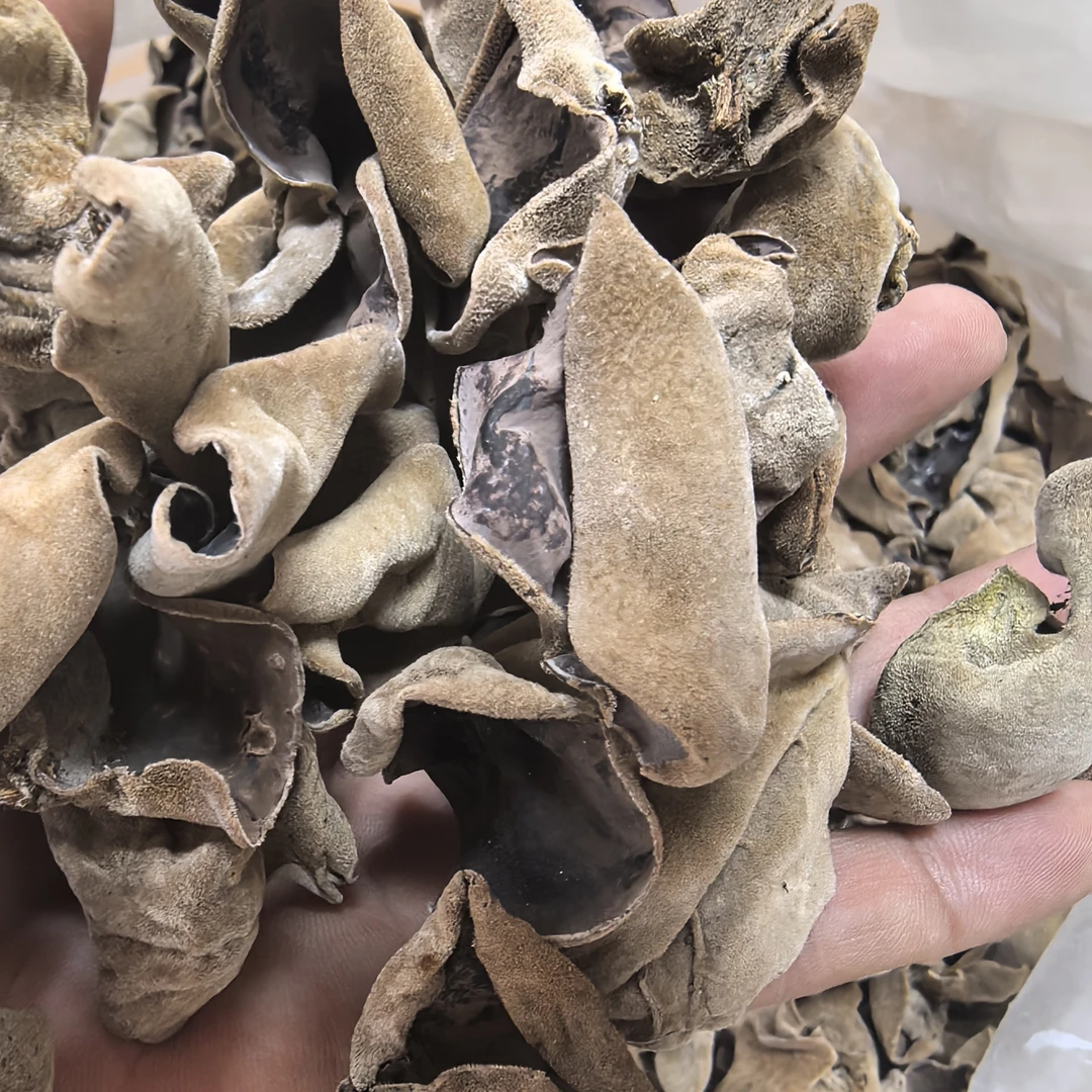 深山木耳白背木耳石门台特产椴木木耳