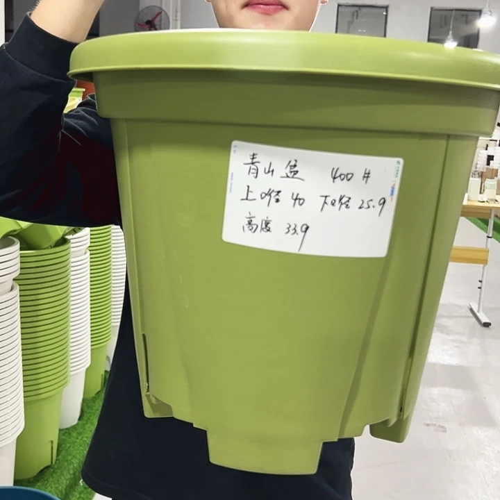 青山口40高34果绿色5只无托