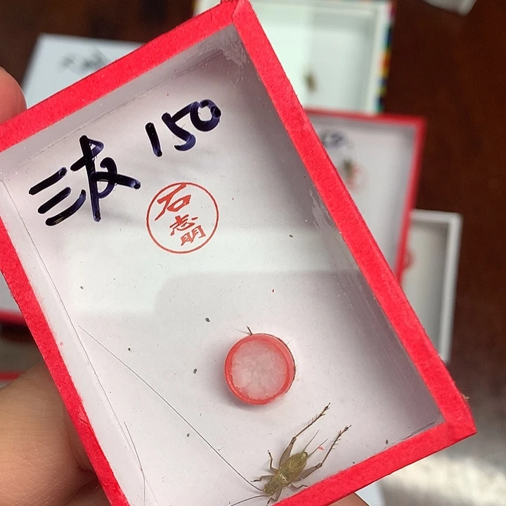 三***友三友哈哈哈哈哈哈哈