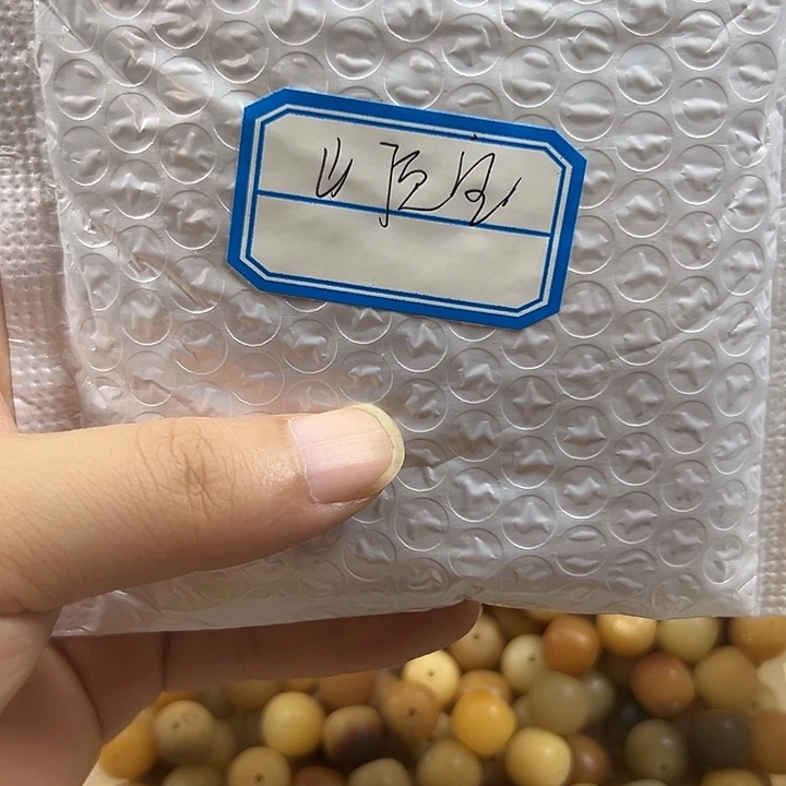 山***猪吊坠菩提根/象牙果
