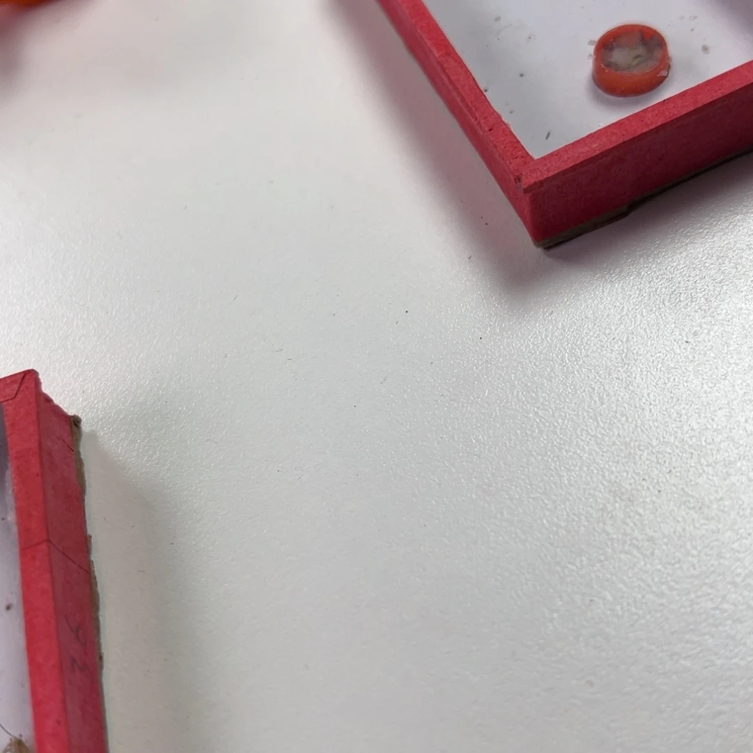 蟋蟀两只石老师冬黄蛉特价