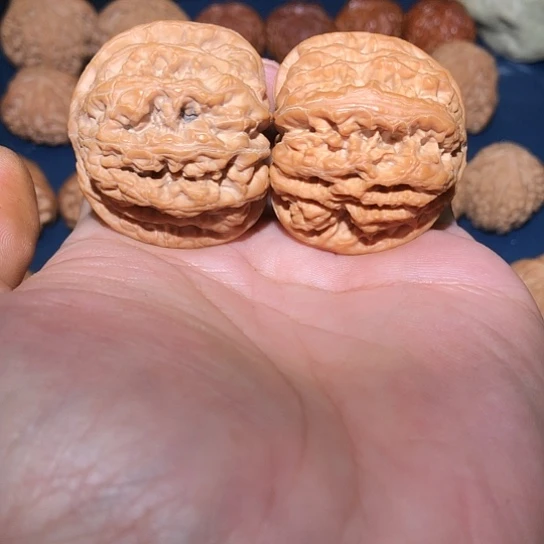 桃木边肚43精品大粗筋