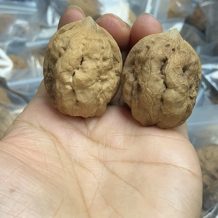 文玩核桃把件云南铁核桃基地59