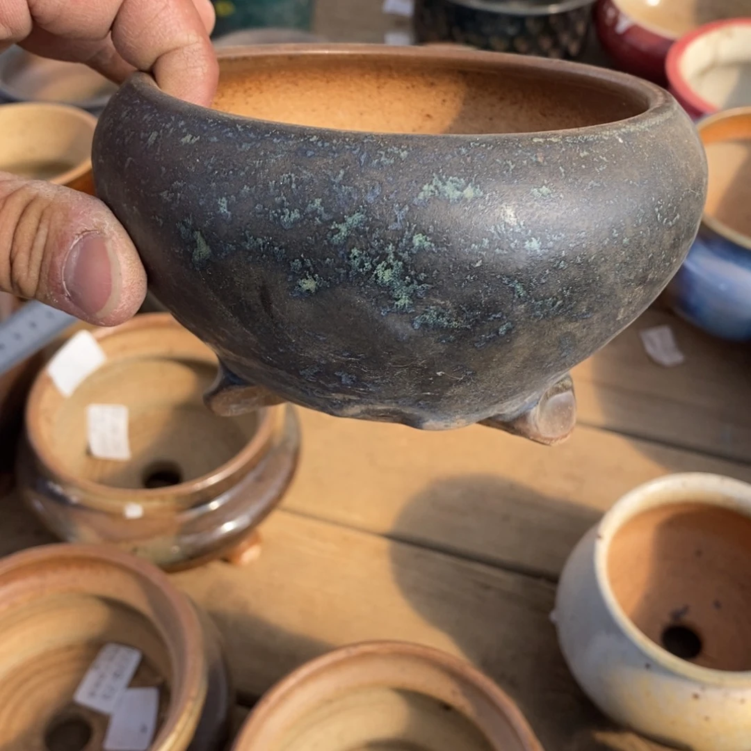 燕***子15号花盆福利啦啦