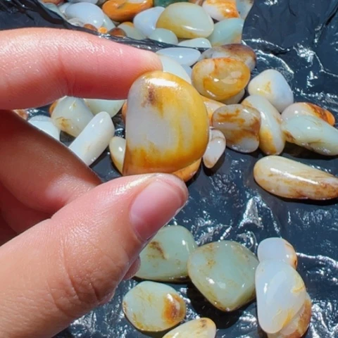 和田玉（糖玉）未镶嵌颈饰8.5克