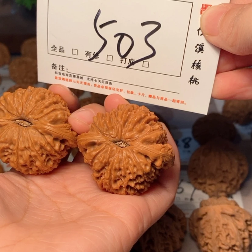 【闪购商品】木质类南疆47尺503号