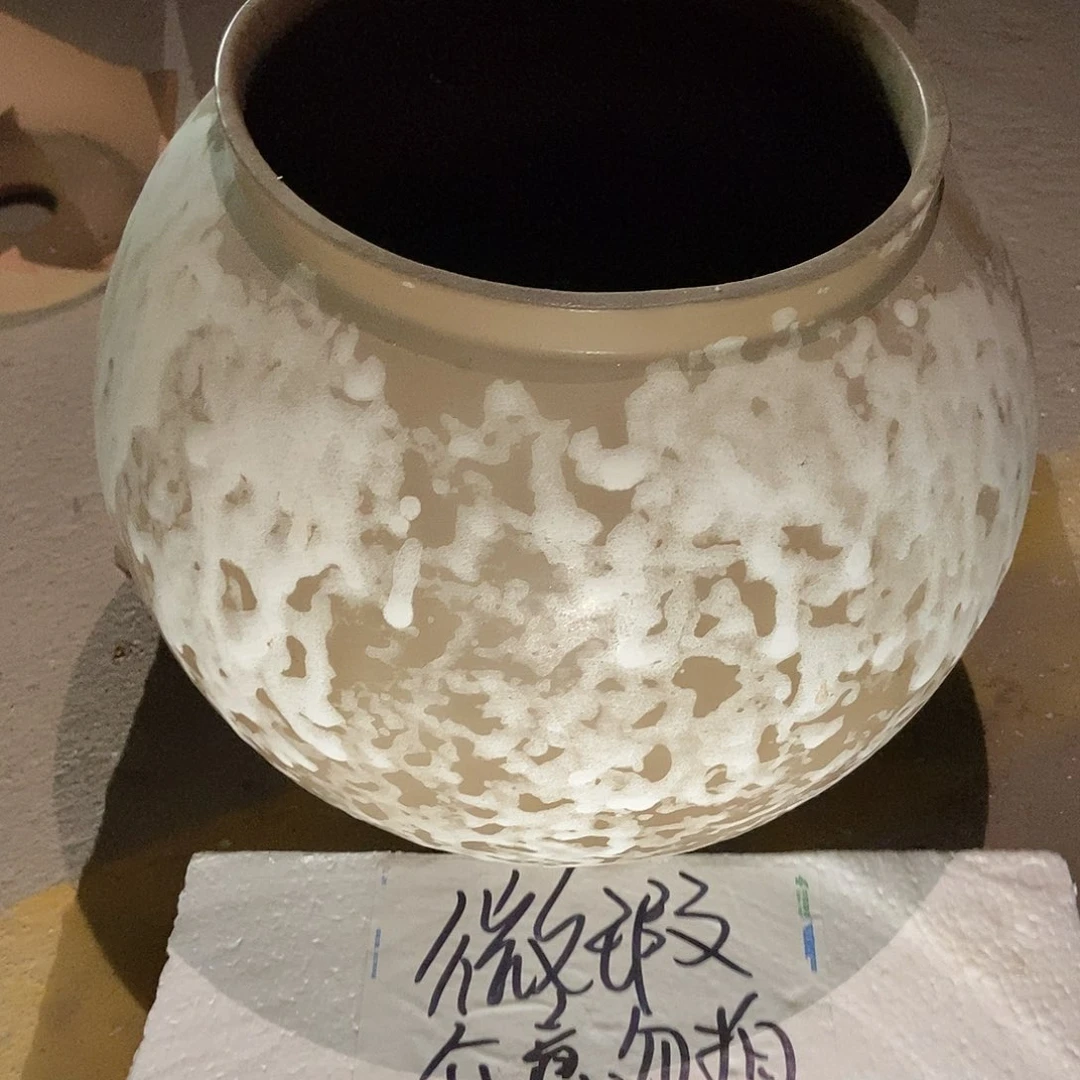 花盆里的花开了吗我的