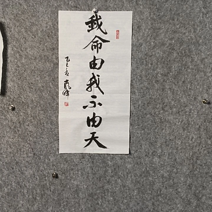 书法高老师二平我命由我不由天