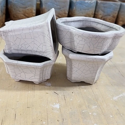 4个····全是福利····