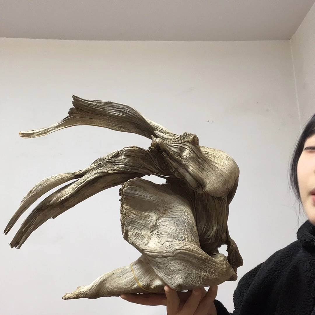 昊***输柏木（崖柏）这个世界上最好的朋友就是