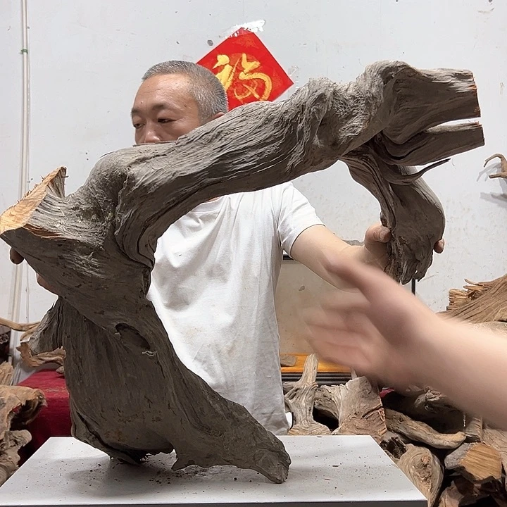 柏木江***轩我们的生活也是如此的丰富
