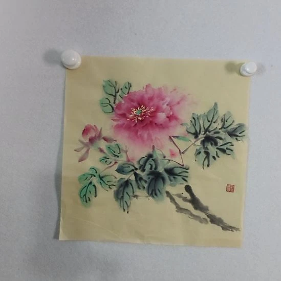 国画中国画花鸟画