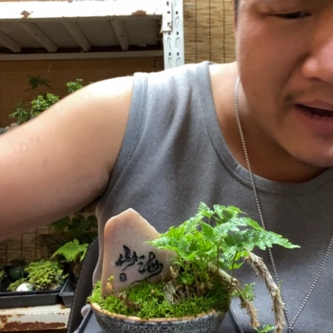 红陶一物一拍所见即所得125