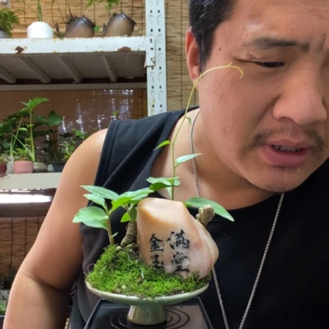 红陶@**修一物一拍所见即所得69