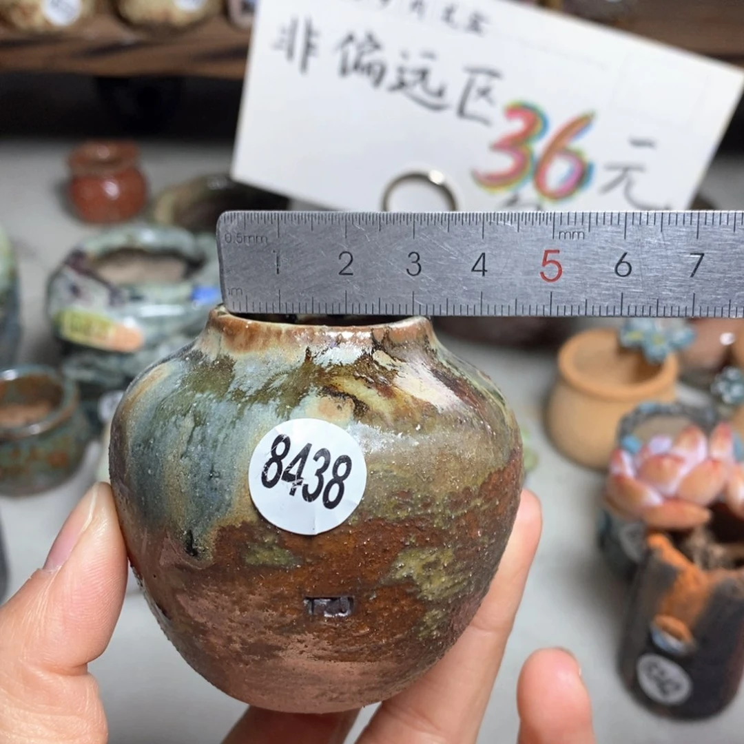 花盆拍5送一个小礼物