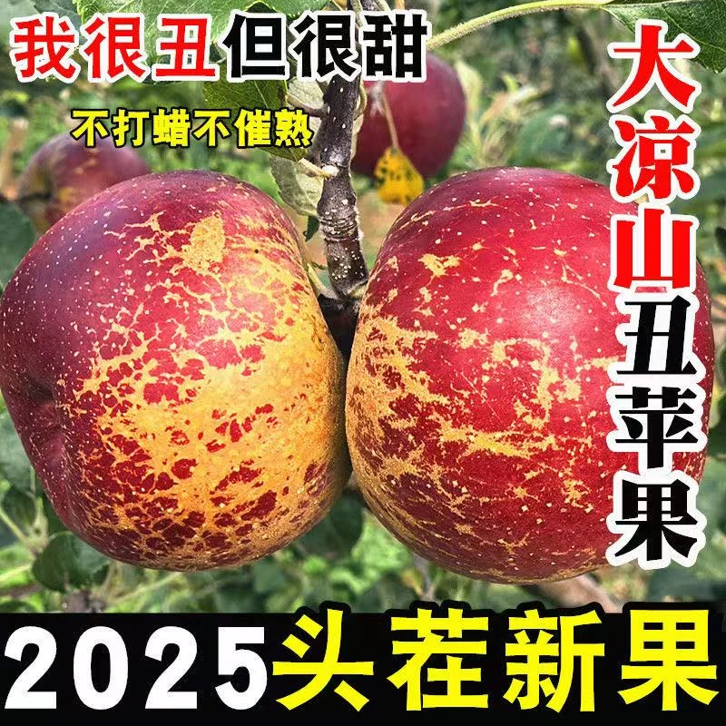 四川高山新鲜丑苹果脆甜多汁高山糖心水果老树更好吃